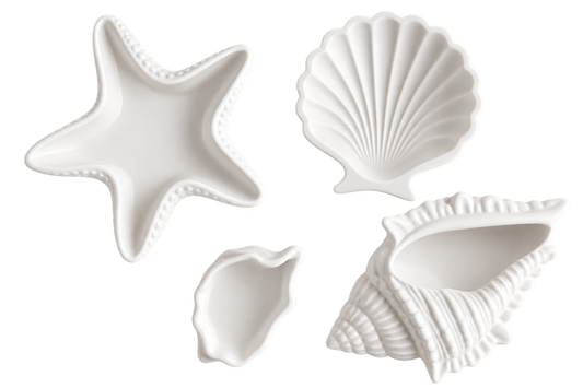 Les coquillages